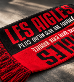 Les Aigles Scarf on Stone
